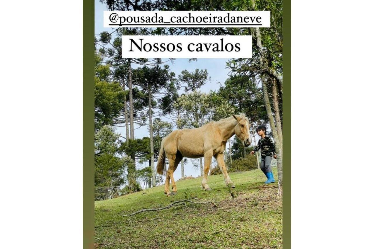 Floresta Secreta- Pousada Cachoeira Da Neve 우루비시 외부 사진