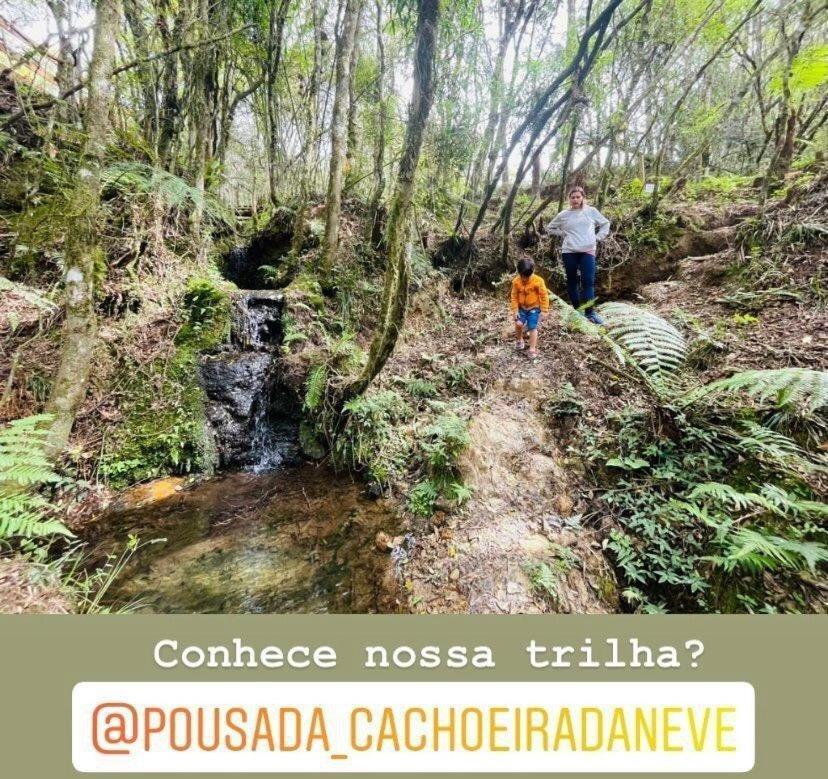 Floresta Secreta- Pousada Cachoeira Da Neve 우루비시 외부 사진
