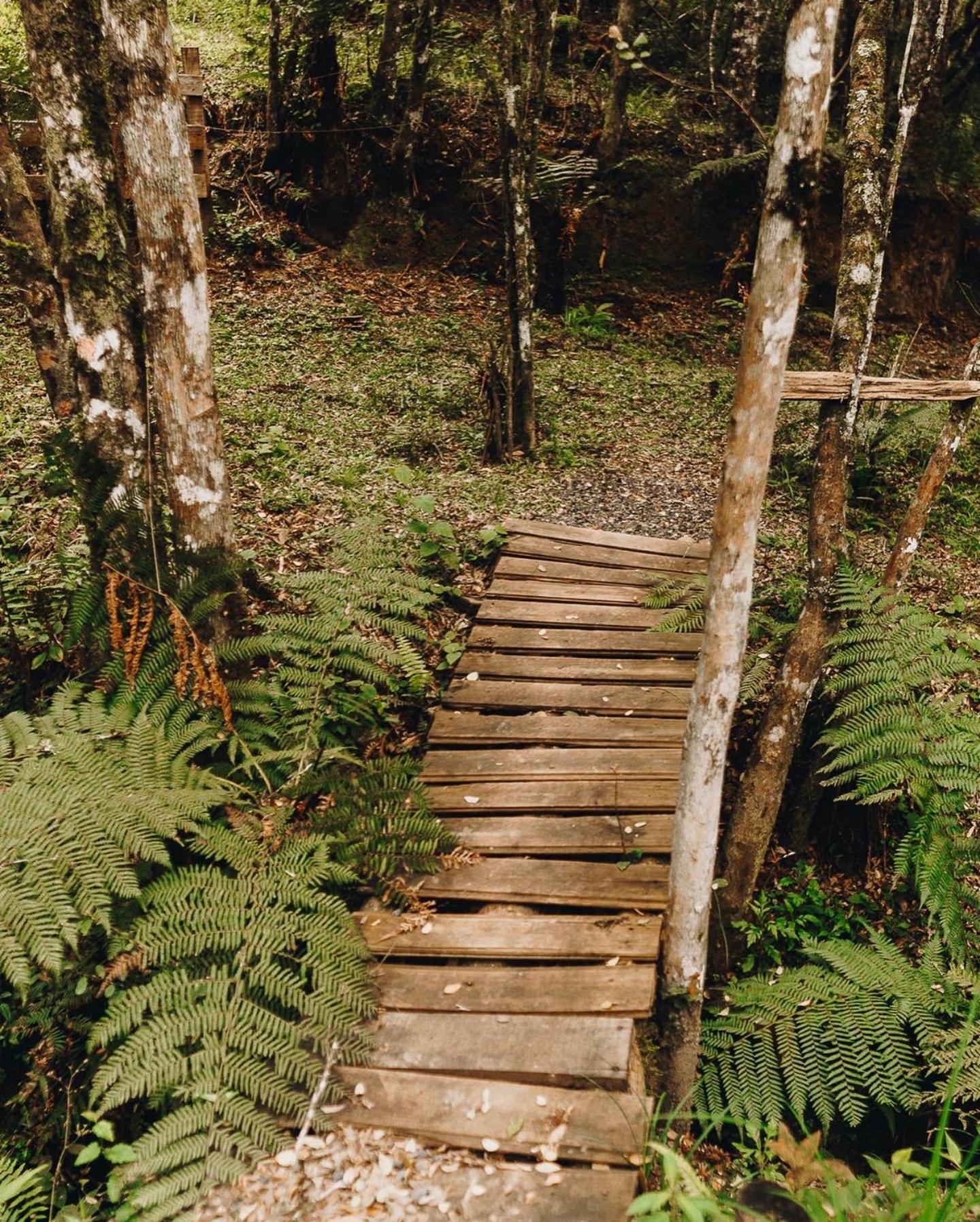 Floresta Secreta- Pousada Cachoeira Da Neve 우루비시 외부 사진